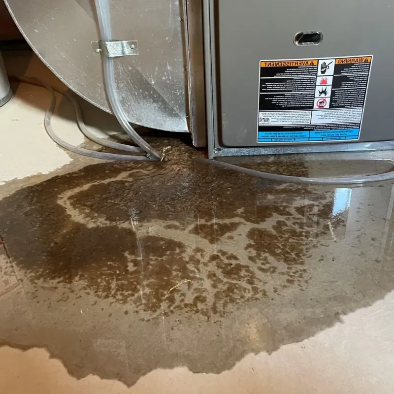 Pipe Burst and Leak Restoration in Stiles, PA