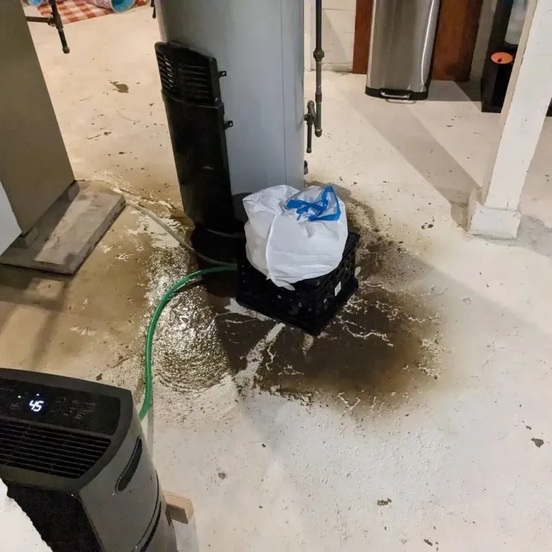 Sewage Backup Cleanup Service in Stiles, PA